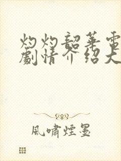 灼灼韶华电视剧剧情介绍大结局