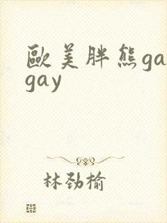欧美胖熊gaygay