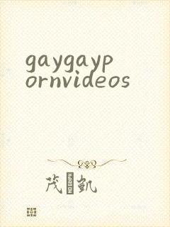 gaygaypornvideos封面