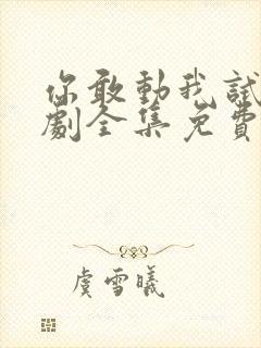 你敢动我试试短剧全集免费观看