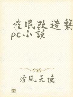 催眠改造系统npc小说