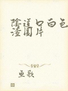 阴道口白色豆腐渣图片