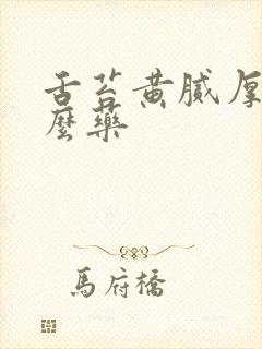 舌苔黄腻厚吃什么药