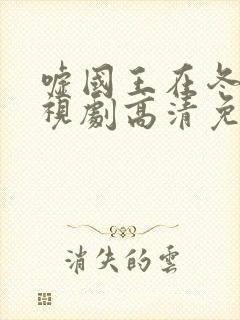 嘘国王在冬眠电视剧高清免费播放