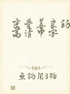 密爱善良的嫂子高清中字