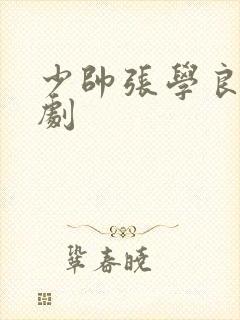 少帅张学良电视剧封面