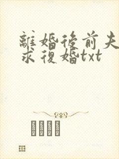 离婚后前夫哭着求复婚txt