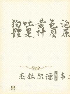 狗吐黄色泡沫液体是什么原因