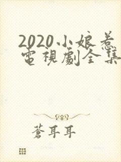 2020小娘惹电视剧全集封面