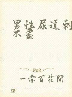 男性尿道刺痛尿不尽封面