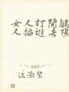 女人打开腿让男人插进去视频