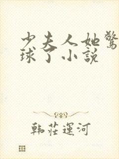 少夫人她惊艳全球了小说