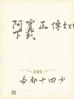 阿宾正传txt下载