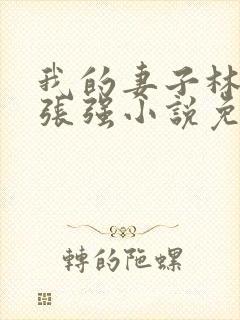 我的妻子林慧茹张强小说免费阅读