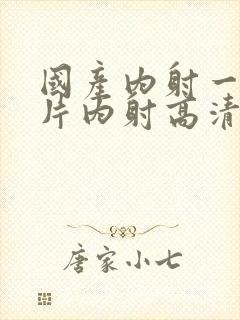 国产内射一级一片内射高清视频1
