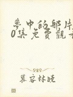 梦中的那片海40集免费观看