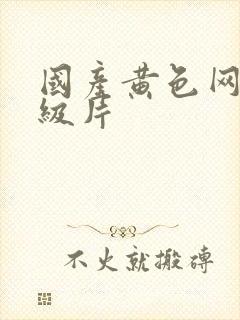 国产黄色网络一级片