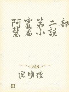 阿宾第二部之钰慧篇小说