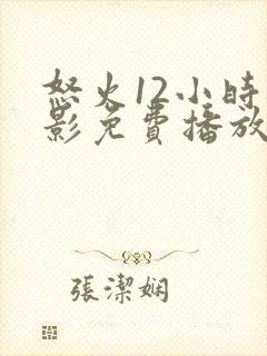 怒火12小时电影免费播放