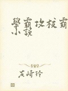 学霸攻校霸受的小说封面