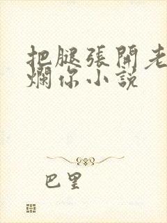 把腿张开老子臊烂你小说