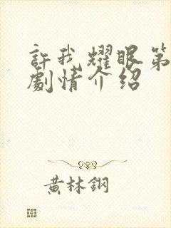 许我耀眼第二集剧情介绍