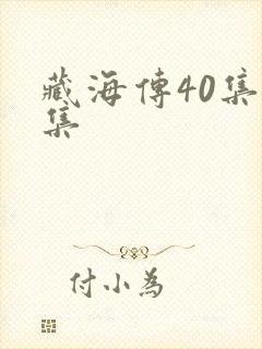 藏海传40集全集