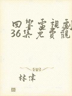 回响电视剧全集36集免费观看