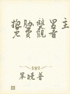 抱胁双男主泰剧免费观看