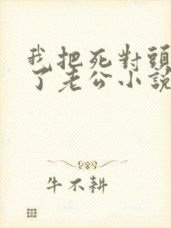 我把死对头养成了老公小说