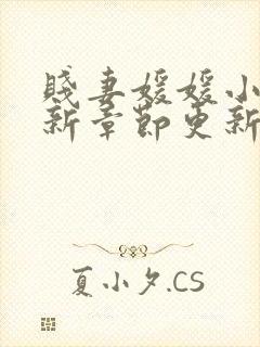 贱妻媛媛小说最新章节更新时间