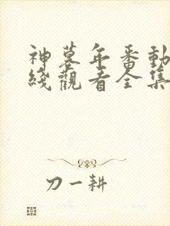 神墓年番动漫在线观看全集免费播放