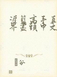 灌篮高手直到世界尽头中文版