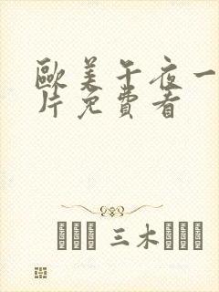 欧美午夜一级艳片免费看