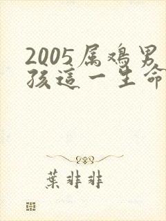 2005属鸡男孩这一生命运如何