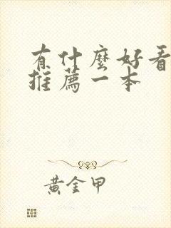 有什么好看的书推荐一本