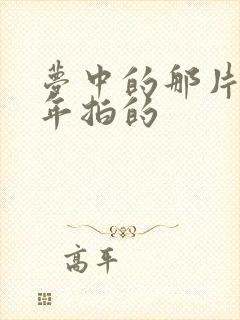 梦中的那片海哪年拍的