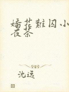 娇花难囚小说霁夜茶