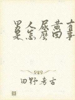 男人尿黄有泡沫是怎么回事封面