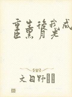 重生后我成了权臣黑月光封面