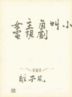 女主角叫小曼的电视剧封面