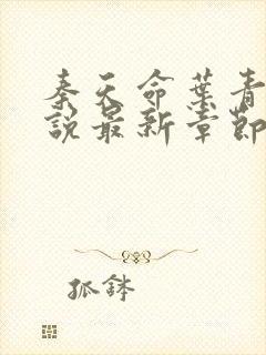 秦天命叶青鸾小说最新章节封面