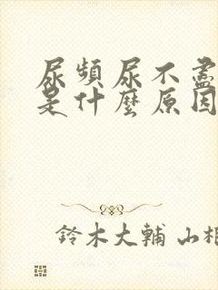 尿频尿不尽尿疼是什么原因