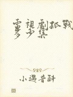 电视剧孤战迷城多少集