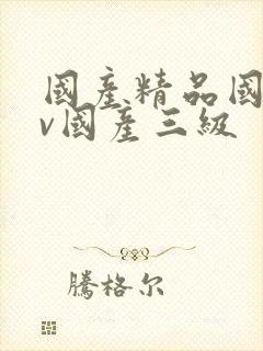 国产精品国产av国产三级