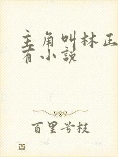 主角叫林正的所有小说