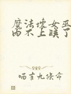 魔法坏女巫2国内不上映了吗