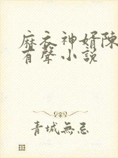 麻衣神婿陈黄皮有声小说封面