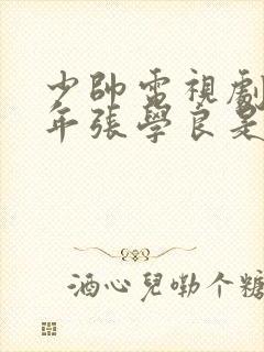 少帅电视剧中少年张学良是谁演的