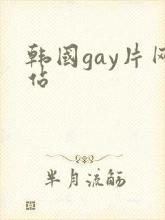 韩国gay片网站